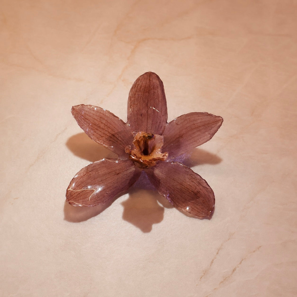 Cymbidium Rosewood
