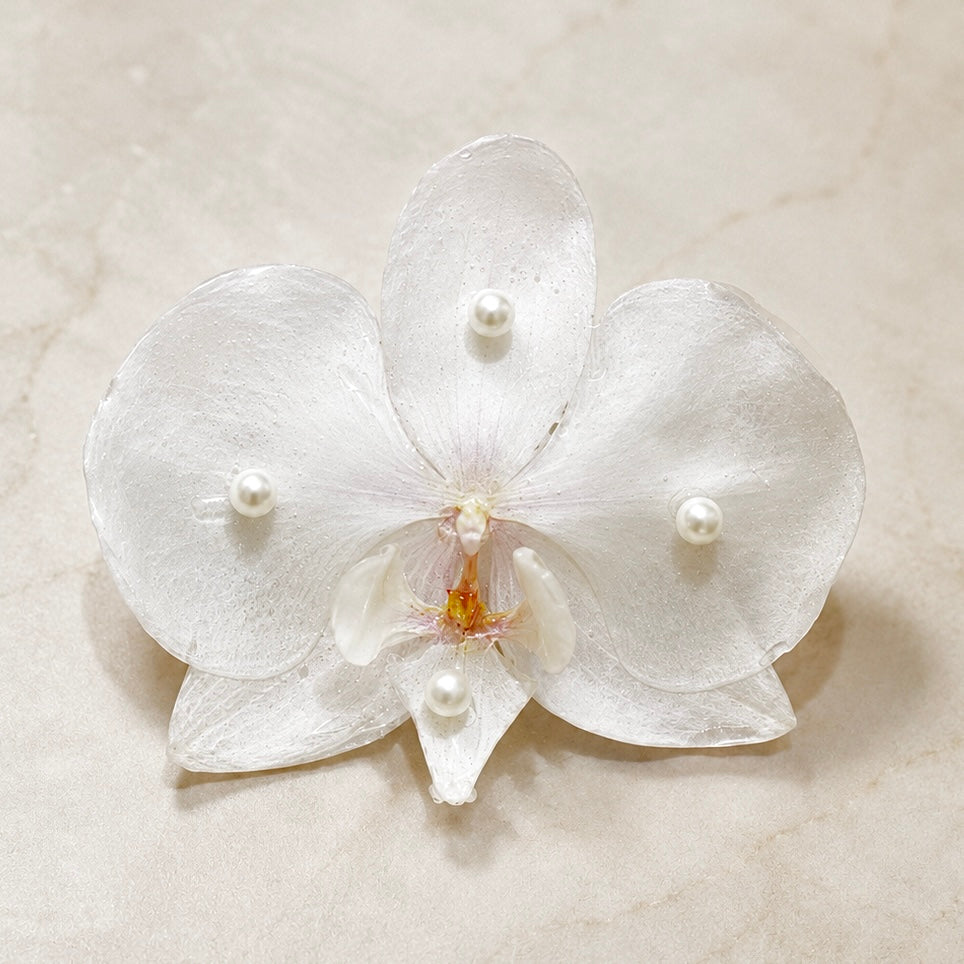 Phalaenopsis Amabilis Pearl